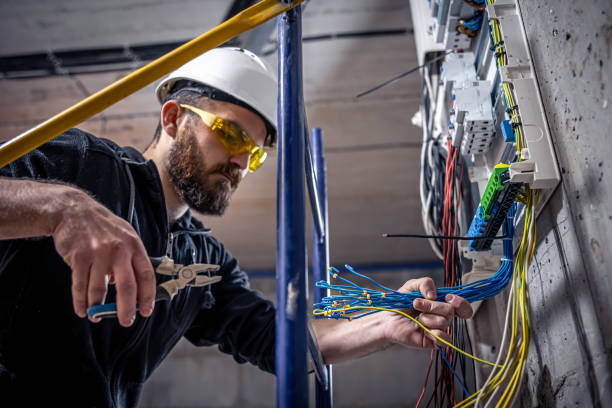 Best Electric Panel Repair  in Hamilton, MO